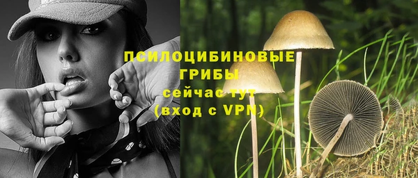 мяу мяу кристалл Лихославль